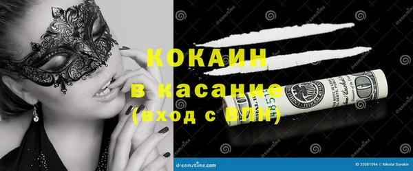 спайс Богданович