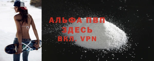 спайс Богданович
