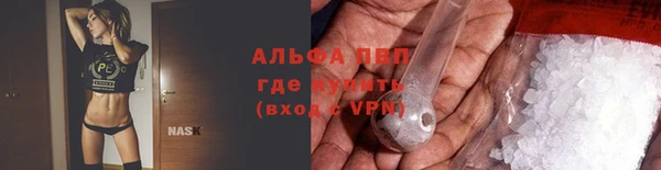 спайс Богданович