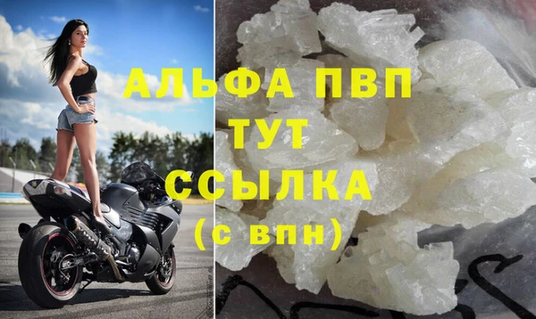 спайс Богданович