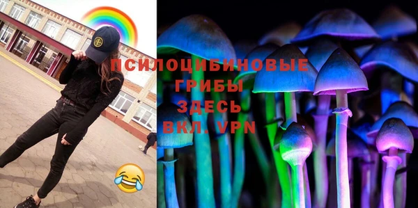 прущий лед Богородицк
