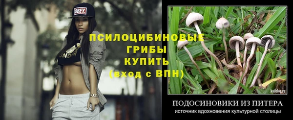 прущий лед Богородицк