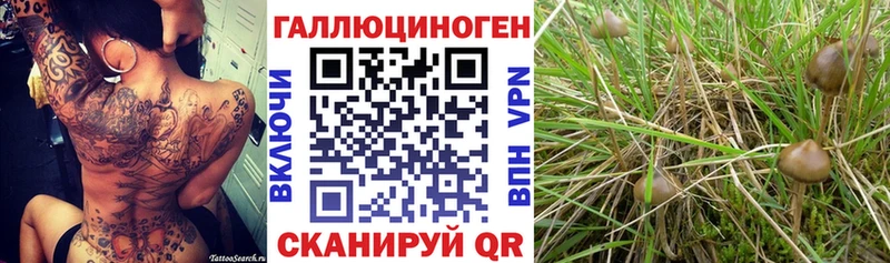 Псилоцибиновые грибы Magic Shrooms  Озёрск 